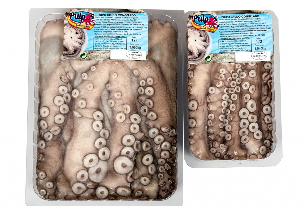 Raw Octopus