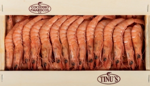 Gambas y langostinos refrigerados