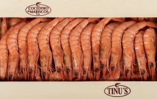 Gambas y langostinos refrigerados