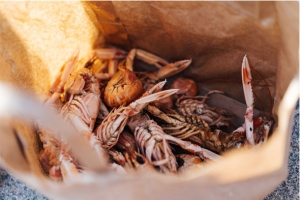 Comer pescado y marisco en nuestra dieta