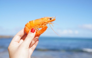 Los mariscos en la dieta mediterránea