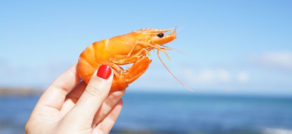 Los mariscos en la dieta mediterránea