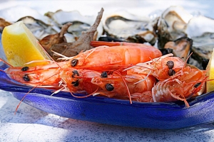 Fuente de Omega 3 de los mariscos y pescados