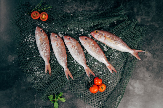 El pescado nos aporta una gran fuente de proteinas
