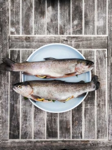 Comprar pescado y marisco congelado