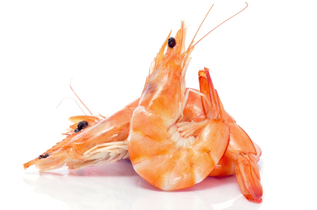 Langostino cocido