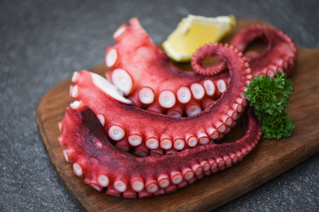 Octopus
