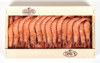 Gamba refrigerada cocida