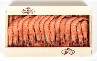 Gamba refrigerada cocida