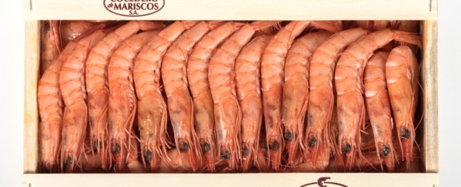 Gamba refrigerada cocida