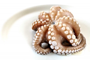 Beneficios del pulpo