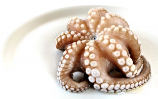 Beneficios del pulpo