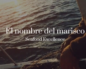 Los beneficios de la ingesta de mariscos