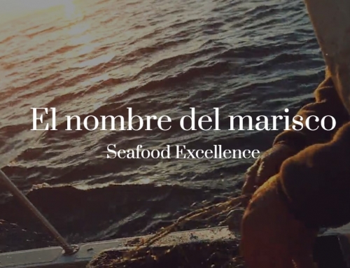 Descubre los sorprendentes beneficios de incluir mariscos en tu dieta diaria