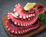 langostinos, gambas, pulpo congelado