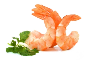 Gambas frescas y sabrosas de Cocedero